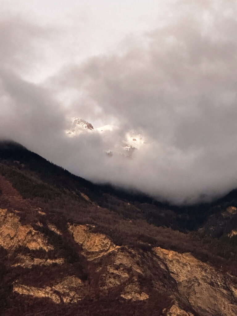 Photographie Brun, gris, blanc… prise par La Fée Clotilde
