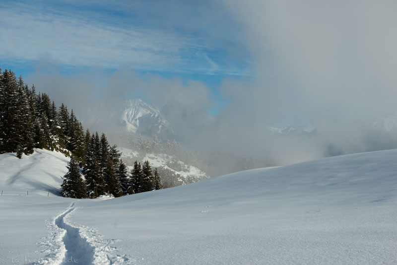 Photographie Échancrures, neige et sommets prise par La Fée Clotilde