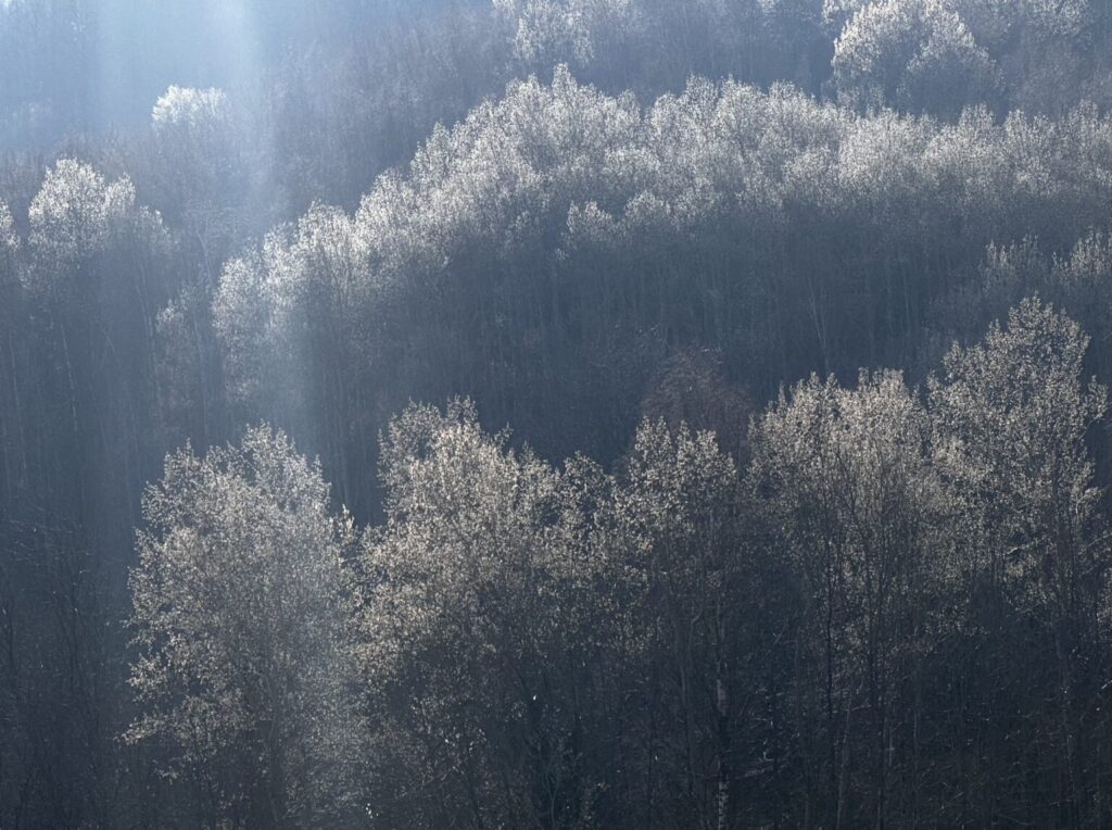 Photographie Lumière poudrée… prise par La Fée Clotilde