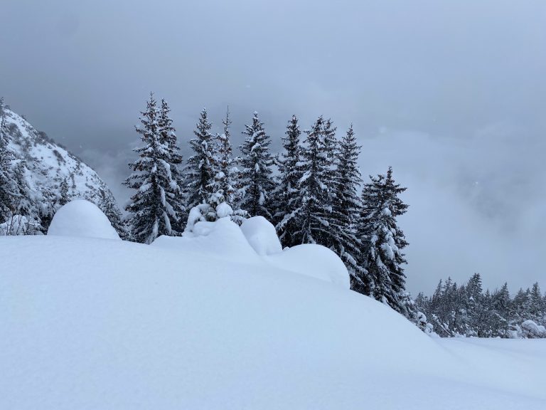 Haïku d&rsquo;un hiver (trop) long
